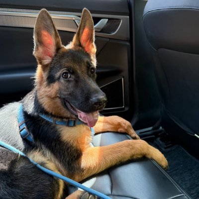 althea_bel45's profile picture. Writing my own fairytale, one chapter at a time.