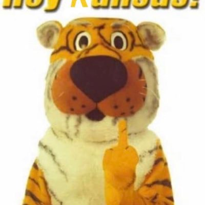 Semi-Retired tax accountant š¤©šWife, ā¤ļømom, ššsports geek. šÆ#MIZZOU āļø Christian, Conservative. #Patriotšŗšø