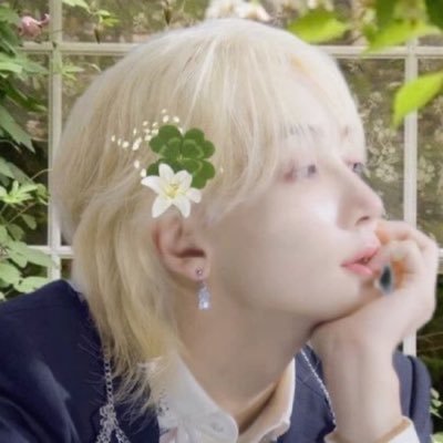 a comfort zone for multis who stan |#seventeen #ahof #cortis #idid #tws #boys2planet