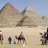 Midohabib24282's profile image