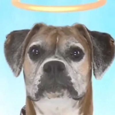 peach399915322's profile picture. 