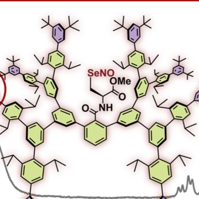 A father of two children, an assistant Professor at Japan. Main Group chemistry. https://t.co/aj3F7yhWj3 ORCID: https://t.co/2OaDFnfRXR