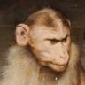 the_big_put's profile picture. just a hateful monkey
