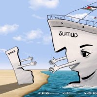 SumudForGaza (@omermuhtar0) 's Twitter Profile Photo SumudForGaza (@omermuhtar0) 's Twitter Profile Photo