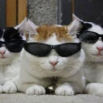 Tanzong418's profile picture. 