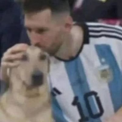 MonkeDMessi24's profile picture. adult dirtbag
mbbs ims bhu
 ⚽️.📸.🩺 in that order.