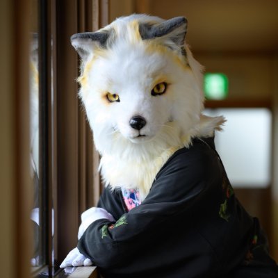 水泳趣味なケモナー・カメラ(α7c)勉強中のるーがるーと申します。
狐の颯斗(はやと)と同居中
icon📷️:@mofu91310711
#山荘梶ヶ森オフ 主催
@shippocrafts_jpさまからもお迎え予定
Next:
