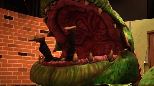 JustinPugsley's profile picture. 