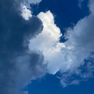 i1novr's profile picture. 