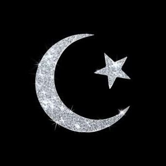 UmarJOfficial's profile picture. Proud Muslim ☪ | Virtual student of Dr Muhammad Iqbal | Revolutionary🏴 | Awakener of the Muslim Ummah