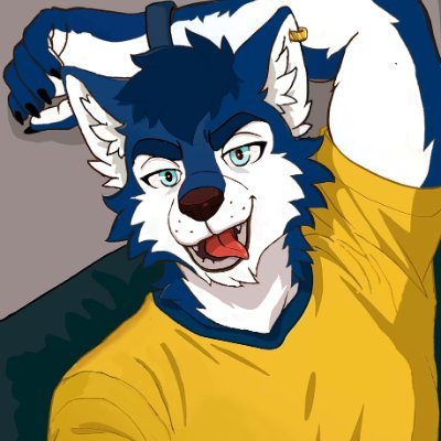 Blue wolf from the Dominican Republic 🐺🇩🇴 | Big love for games, chill convos, and soft vibes 🎮✨ | Looking for friends, maybe even a special someone~ 💙