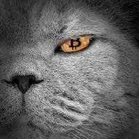 kairoscrypto (@theweb3insider1) 's Twitter Profile