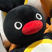 γγπ (@s___uni_5) 's Twitter Profile