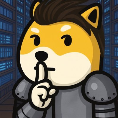 dogefun123's profile picture. 