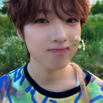 mimpfan's profile picture. 