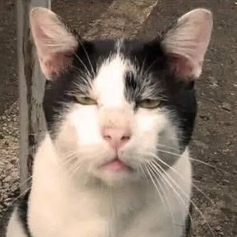 jeffrrrey97's profile picture. i like kpop, anime, thai.. and NOW im in my JPOP ERA 🔥 find me on tiktok @namnamnom_