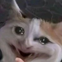 DamianDabuff (@damian_dan76995) 's Twitter Profile