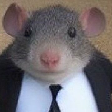 Mattsteve55's profile picture. Let love lead