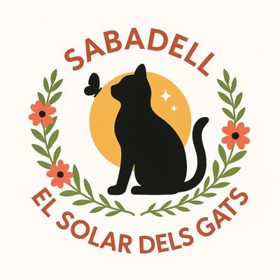 Organització que vetlla pel benetar felí dels solar. Colonia urbana amb + de 200 🐈