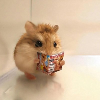 kwokfushuai's profile picture. Maker enthusiasts