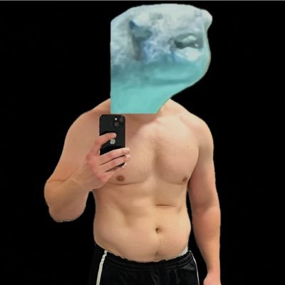 mybushdid6911's profile picture. 