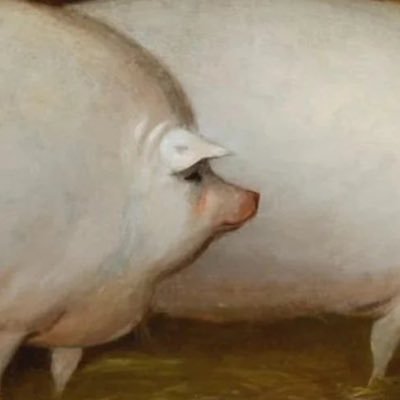 phenixempire's profile picture. hybrid moments