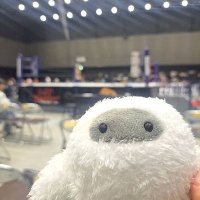 姉川きねんかいかんさんのプロフィール画像