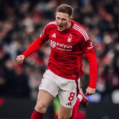 LaNieblaRoja's profile picture. 