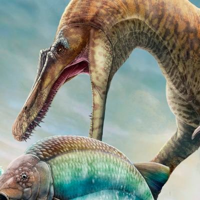 A. Blázquez Riola
- Paleontólogo y Paleoartista 🦕 Investigador en el Centro interpretación Paleóntologico de La Rioja, Igea🦖 #GARRASTEAM