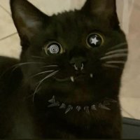 BigTiddyGothGirl (@bigtyddigothgrl) 's Twitter Profile