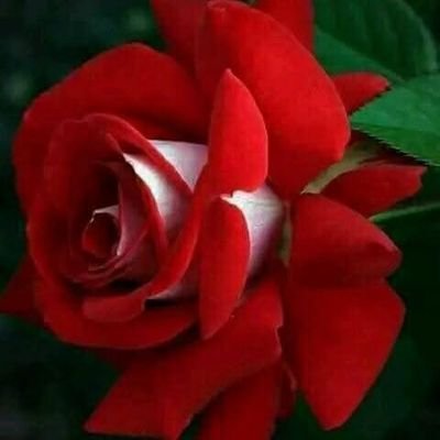 السعودية 🇸🇦العربيه ❤💝💞💕♥💛🧡🌹💖💕💜💗🌺💐💔💔💔💔💔🌻🌻🌻💚💚💚💖💖💖💖🥀💝💗💖💕💔💓💘❤💞💟❣️💙💚💛🧡💜💋💋💋💋🖤🖤🖤💞💞