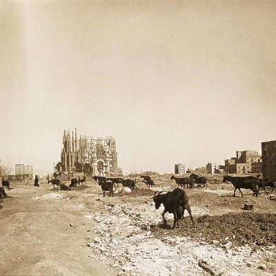 Gordana1906's profile picture. 