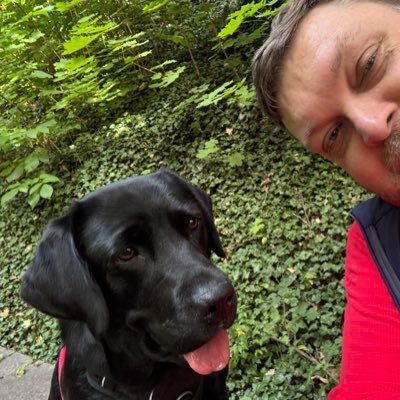 Labrador Retriever Lilly and her Irish man in Bavarian village. Daily life, memes, bad jokes, bicycles, electricity, music and Irish way. 💚🤍🧡🍀