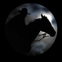 Redpill Drifter (@redpilldifter) 's Twitter Profile
