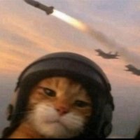 Golden (@ranger19313) 's Twitter Profile