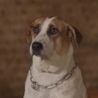 ก้วย (@kkthesunflowers) 's Twitter Profile Photo