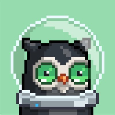 BTC, Crypto, NFT's, Gaming, Moonbirds and the Orlando Magic.