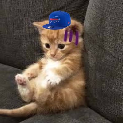 Nevermore916's profile picture. Bills, PSU Football, Milan, USMNT. Generational hater.