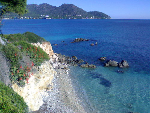 agalmest's profile picture. Val més la que guarda que la que cura.