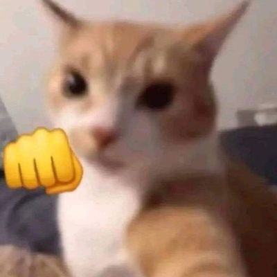 fake5248's profile picture. 