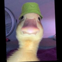 onewayyC (@c_onewayy) 's Twitter Profile