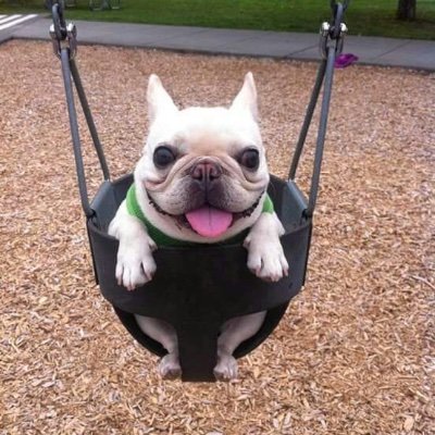 ilovefrijolesmf's profile picture. for yams