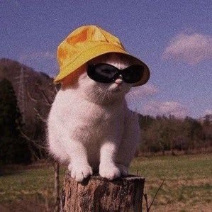 logicflowdev's profile picture. Learning, Grinding and Building!