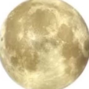 DerdeMerve68200's profile picture. .