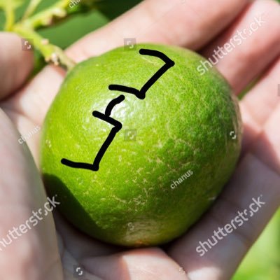 LIMESTERRR's profile picture. he/him | 19 | i draw and write 👍