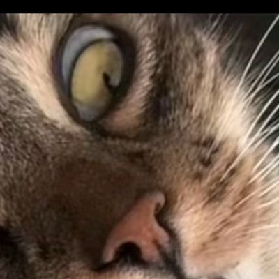AyoRaveKing's profile picture. hm
