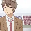 corgi_coin5891's profile picture. 