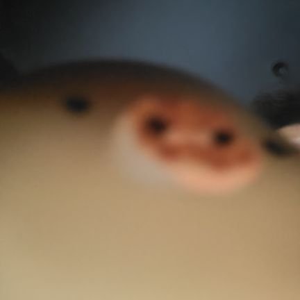 20 —— He/Him —— unwilling software engineering 3rd year —— low Elo league rat