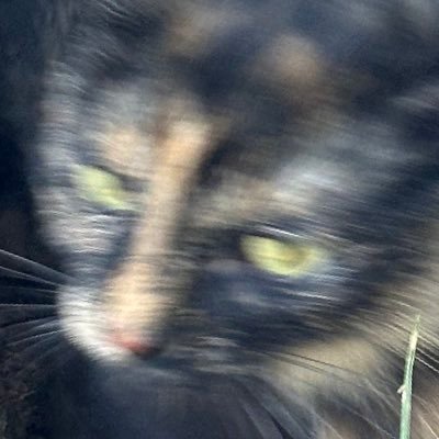 bugzonu's profile picture. it is done.