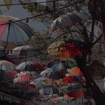 yo7mom's profile picture. 